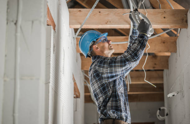Best Home Electrical Repair  in Bonnie Brae, IL