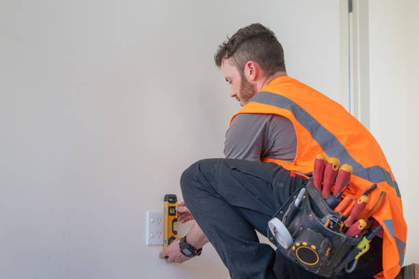 Best Electrician for Home Renovation  in Bonnie Brae, IL